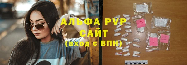 прущий лед Богданович