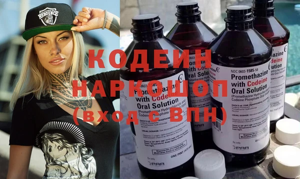 прущий лед Богданович