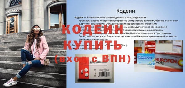 прущий лед Богданович