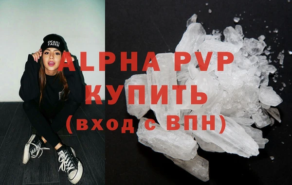 прущий лед Богданович