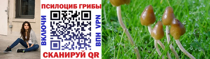 MEGA ТОР  Нестеров  Галлюциногенные грибы GOLDEN TEACHER 